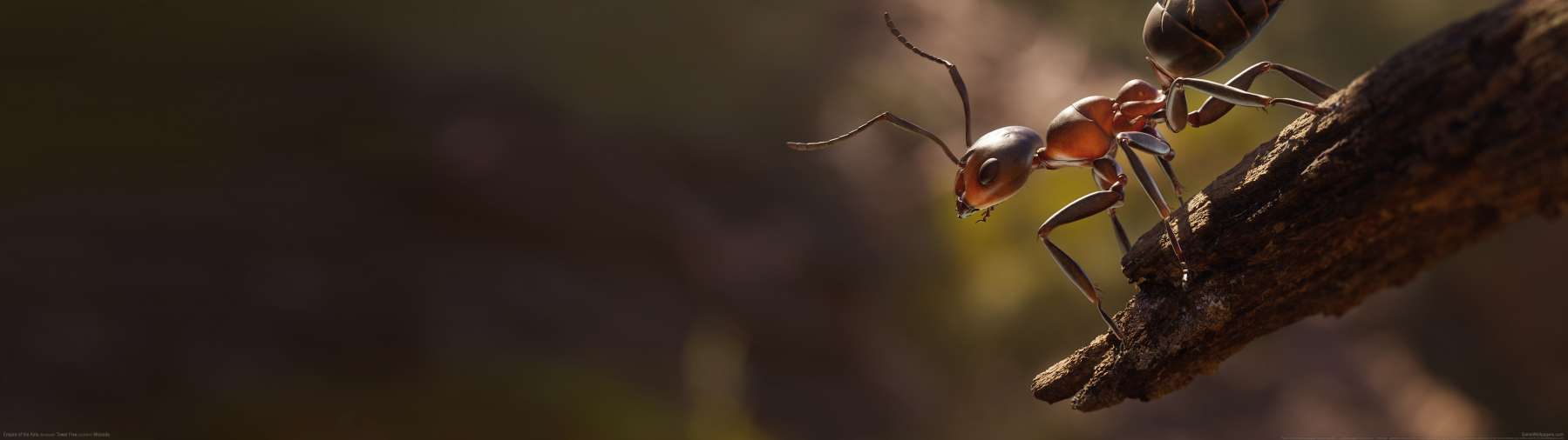 Empire of the Ants achtergrond