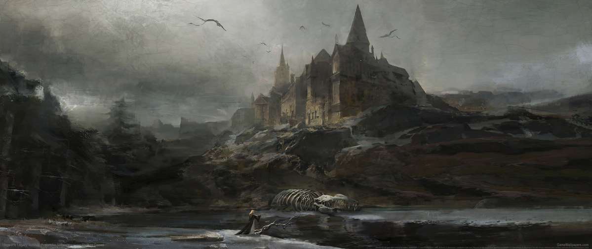 Hogwarts Legacy ultrawide achtergrond 08