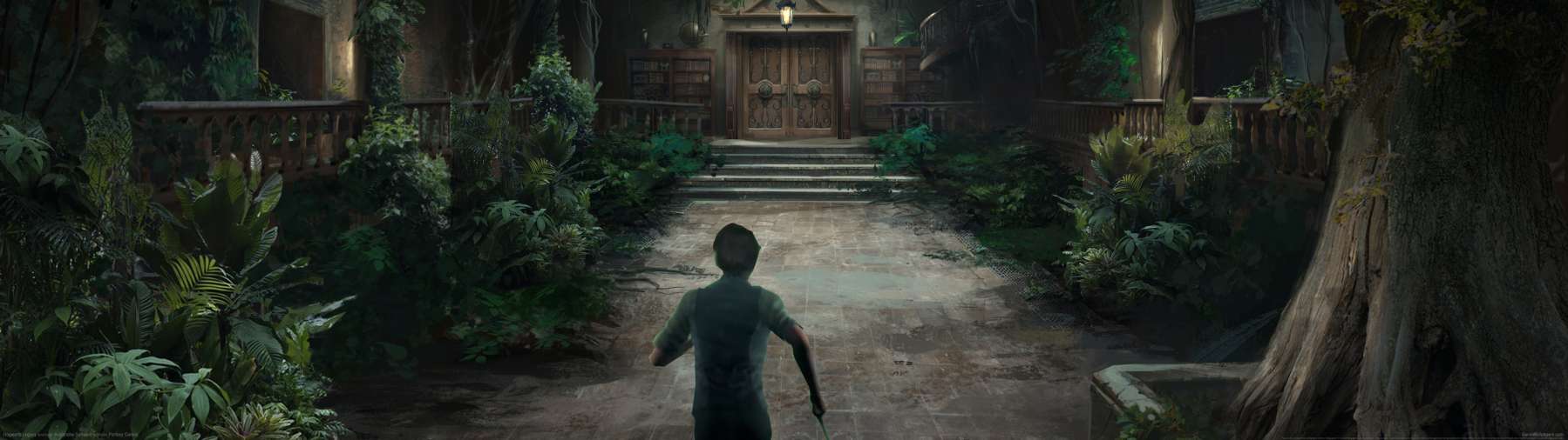 Hogwarts Legacy achtergrond