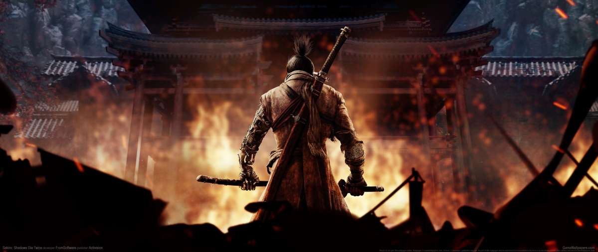 Sekiro: Shadows Die Twice achtergrond