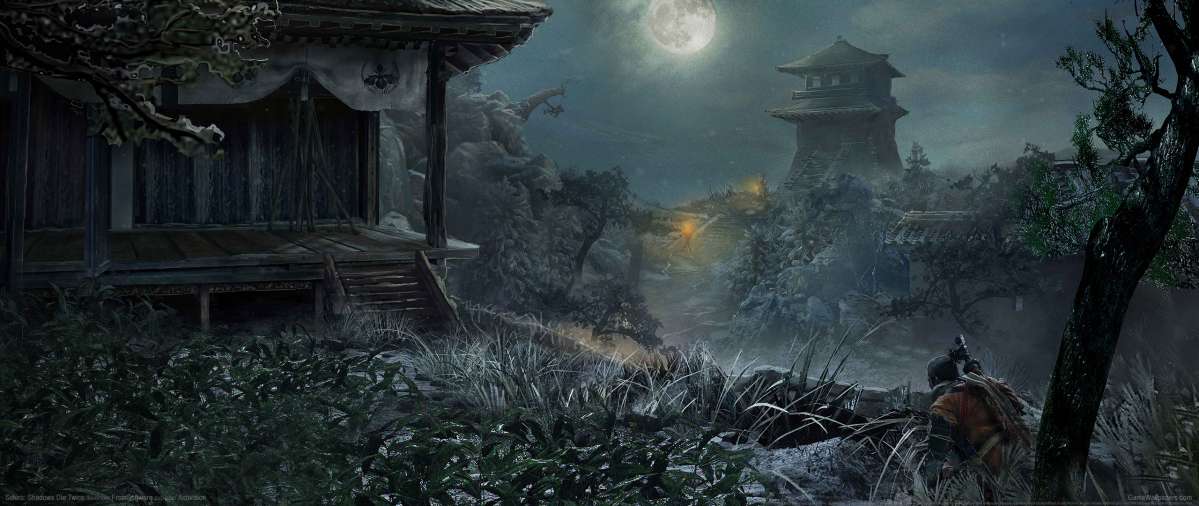 Sekiro: Shadows Die Twice achtergrond