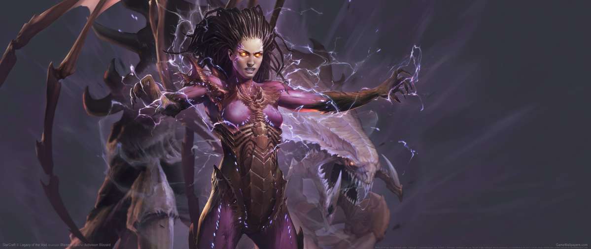 StarCraft 2: Legacy of the Void achtergrond