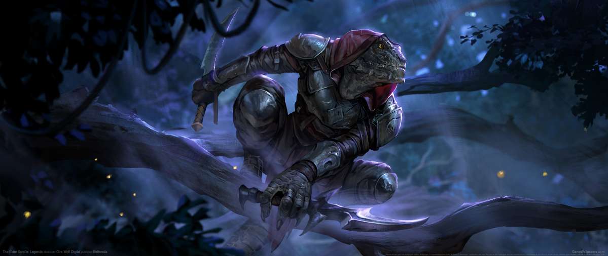 The Elder Scrolls: Legends achtergrond