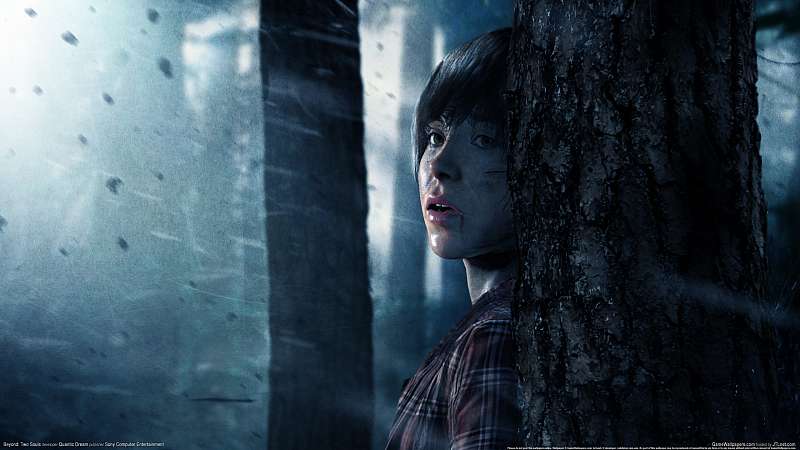 Beyond: Two Souls achtergrond