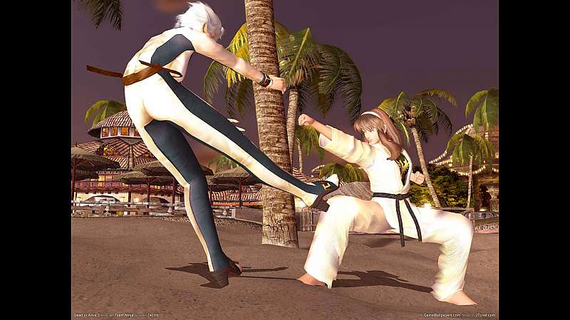 Dead or Alive 3 achtergrond