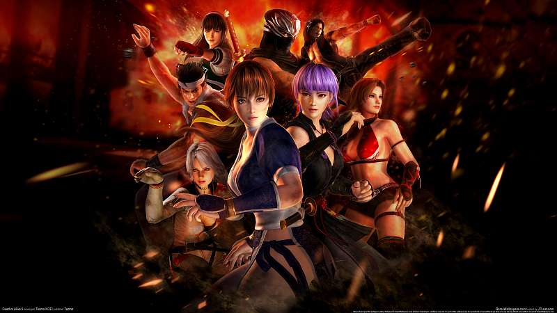 Dead or Alive 5 achtergrond