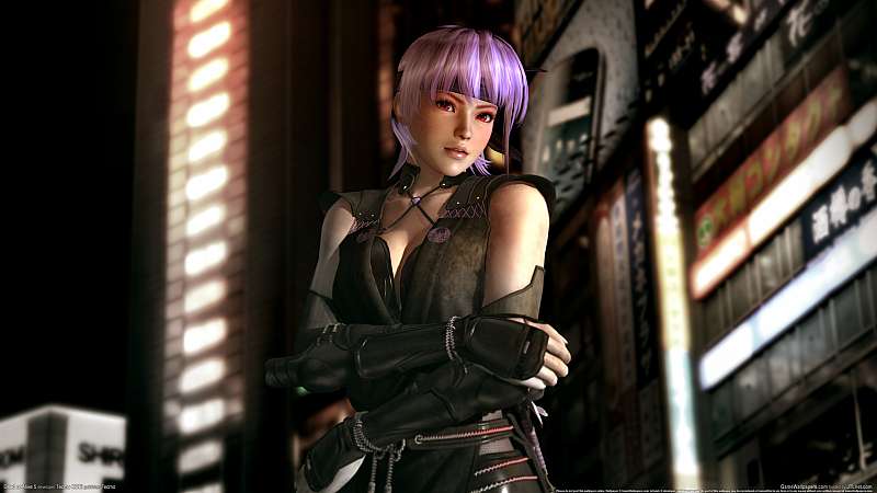 Dead or Alive 5 achtergrond