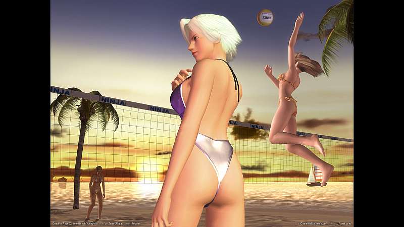 Dead or Alive Xtreme Beach Volleyball achtergrond