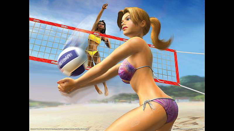 Summer Heat Beach Volleyball achtergrond