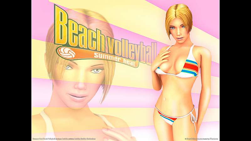 Summer Heat Beach Volleyball achtergrond