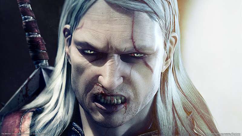 The Witcher: Enhanced Edition achtergrond