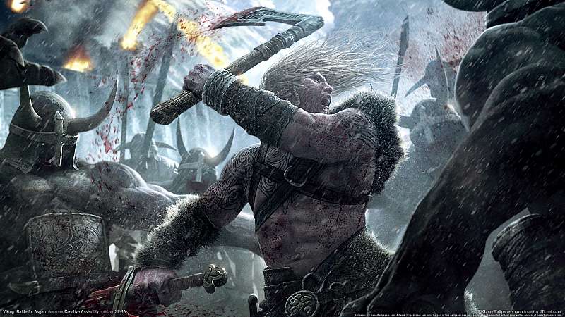 Viking: Battle for Asgard achtergrond