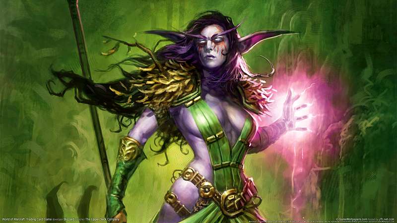World of Warcraft: Trading Card Game achtergrond