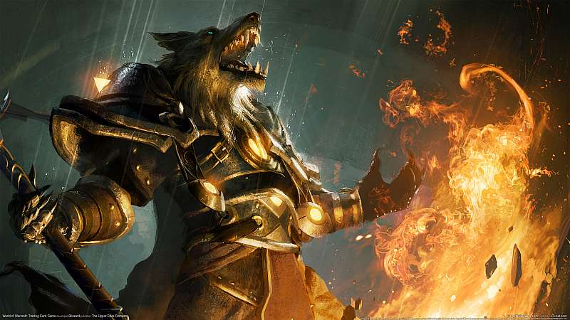World of Warcraft: Trading Card Game achtergrond